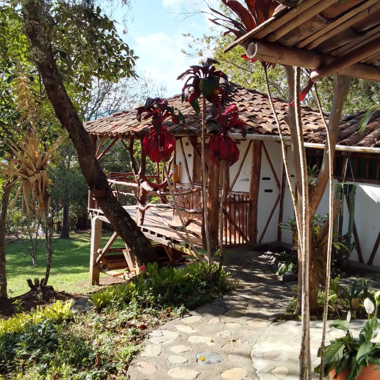 Hotel La Casa De Francois ซานออกุสติน ภายนอก รูปภาพ