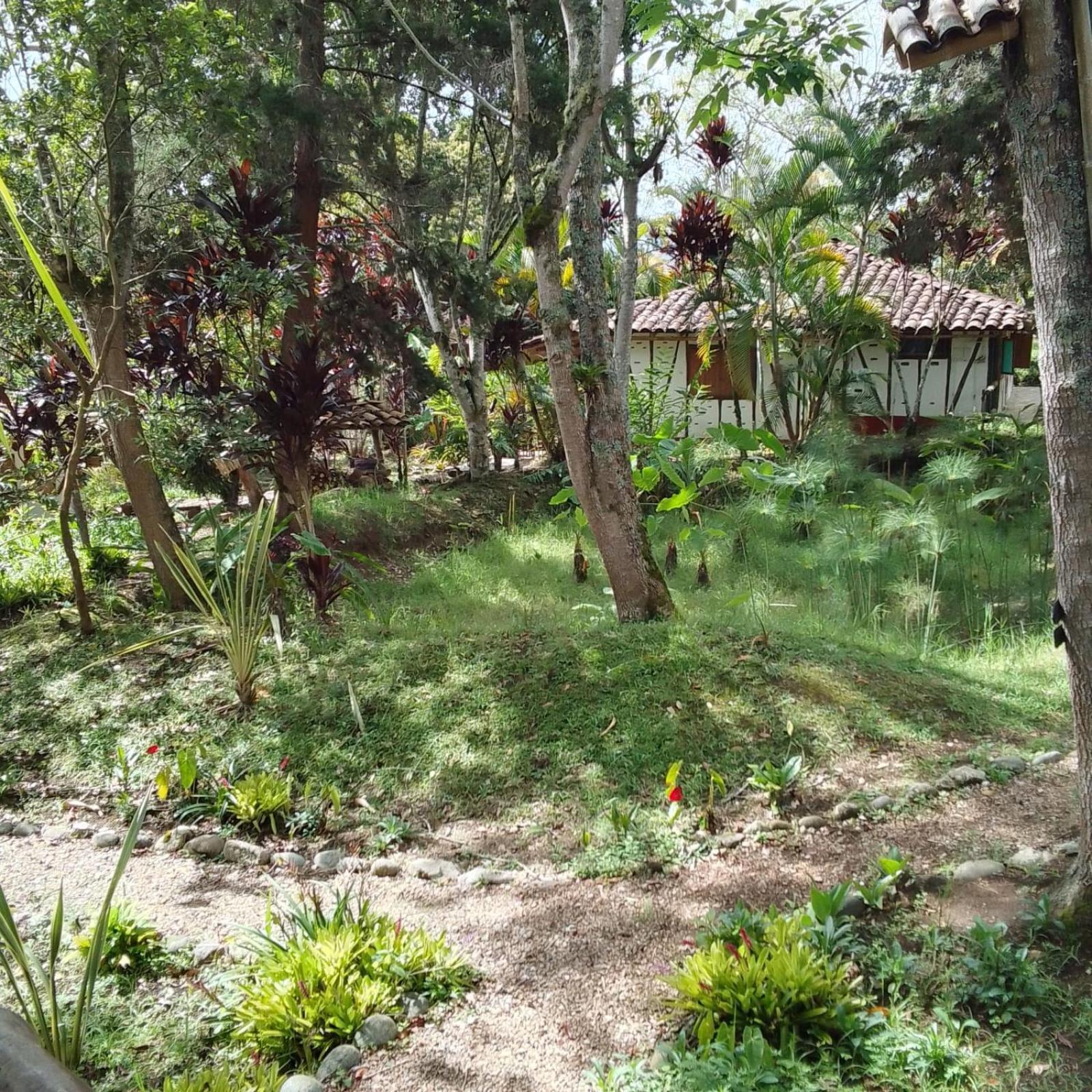 Hotel La Casa De Francois ซานออกุสติน ภายนอก รูปภาพ
