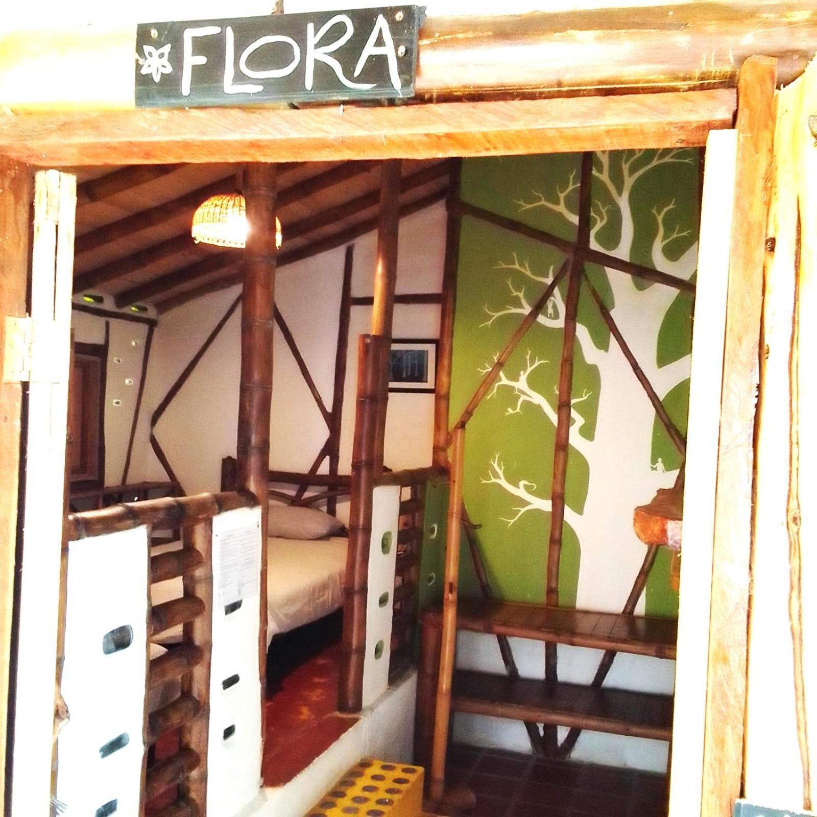 Hotel La Casa De Francois ซานออกุสติน ภายนอก รูปภาพ