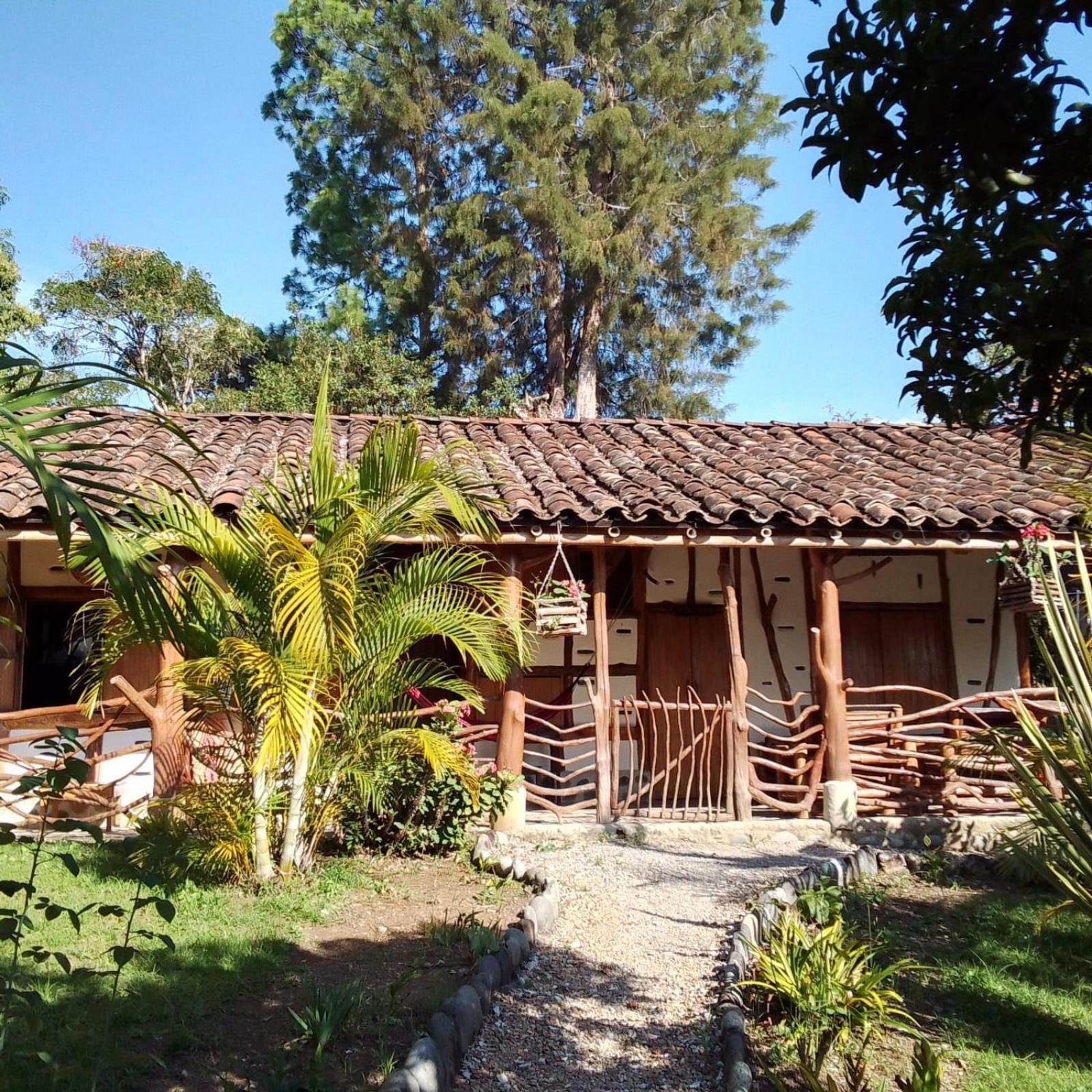 Hotel La Casa De Francois ซานออกุสติน ภายนอก รูปภาพ