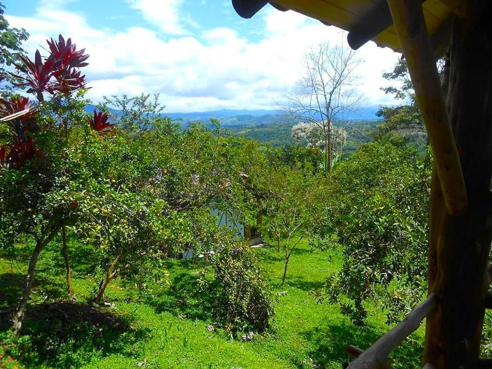 Hotel La Casa De Francois ซานออกุสติน ภายนอก รูปภาพ