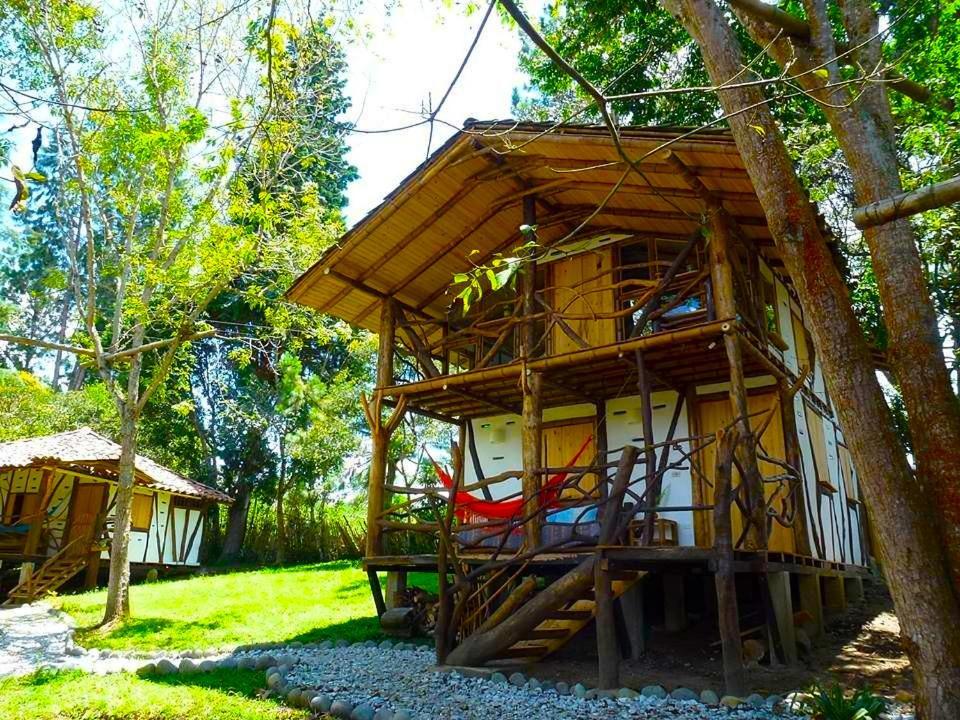Hotel La Casa De Francois ซานออกุสติน ภายนอก รูปภาพ